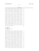 MATERIALS AND METHOD FOR ASSAYING FOR METHYLATION OF CpG ISLANDS     ASSOCIATED WITH GENES IN THE EVALUATION OF CANCER diagram and image