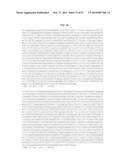 MATERIALS AND METHOD FOR ASSAYING FOR METHYLATION OF CpG ISLANDS     ASSOCIATED WITH GENES IN THE EVALUATION OF CANCER diagram and image