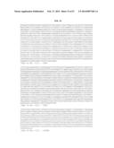 MATERIALS AND METHOD FOR ASSAYING FOR METHYLATION OF CpG ISLANDS     ASSOCIATED WITH GENES IN THE EVALUATION OF CANCER diagram and image