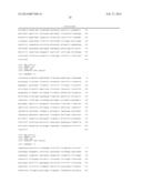 MATERIALS AND METHOD FOR ASSAYING FOR METHYLATION OF CpG ISLANDS     ASSOCIATED WITH GENES IN THE EVALUATION OF CANCER diagram and image