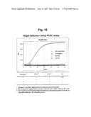 DETECTION OF TARGET NUCLEIC ACID SEQUENCE BY PTO CLEAVAGE AND     EXTENSION-DEPENDENT CLEAVAGE diagram and image