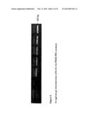 Composition and method for determination of ck19 expression diagram and image