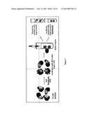 Composition and method for determination of ck19 expression diagram and image