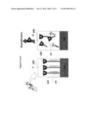 METHODS AND MATERIALS FOR DETECTING GENETIC OR EPIGENETIC ELEMENTS diagram and image