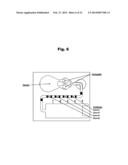 Antibodies to Paliperidone and Use Thereof diagram and image