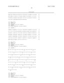 Antibodies to Paliperidone and Use Thereof diagram and image