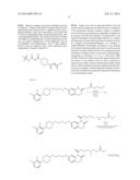 Antibodies to Aripiprazole Haptens and Use Thereof diagram and image