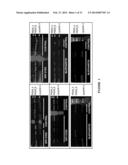 METHOD FOR THE DIAGNOSIS OF DRY EYE AND BLEPHARITIS diagram and image