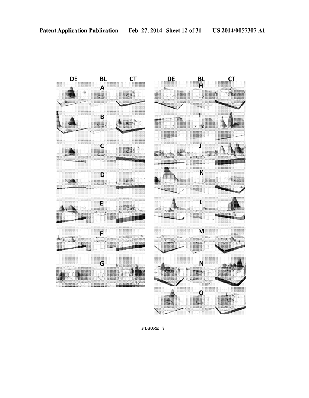 METHOD FOR THE DIAGNOSIS OF DRY EYE AND BLEPHARITIS - diagram, schematic, and image 13