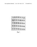 Label Free Biosensors And Cells diagram and image