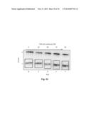 Label Free Biosensors And Cells diagram and image