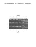 Label Free Biosensors And Cells diagram and image