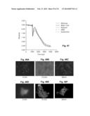 Label Free Biosensors And Cells diagram and image