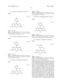 FLUORESCENT PROBE diagram and image