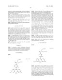 FLUORESCENT PROBE diagram and image