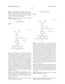 FLUORESCENT PROBE diagram and image