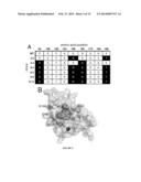 EVOLUTION OF BOND-FORMING ENZYMES diagram and image