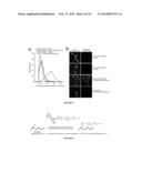 EVOLUTION OF BOND-FORMING ENZYMES diagram and image