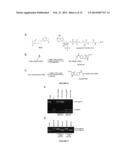 EVOLUTION OF BOND-FORMING ENZYMES diagram and image