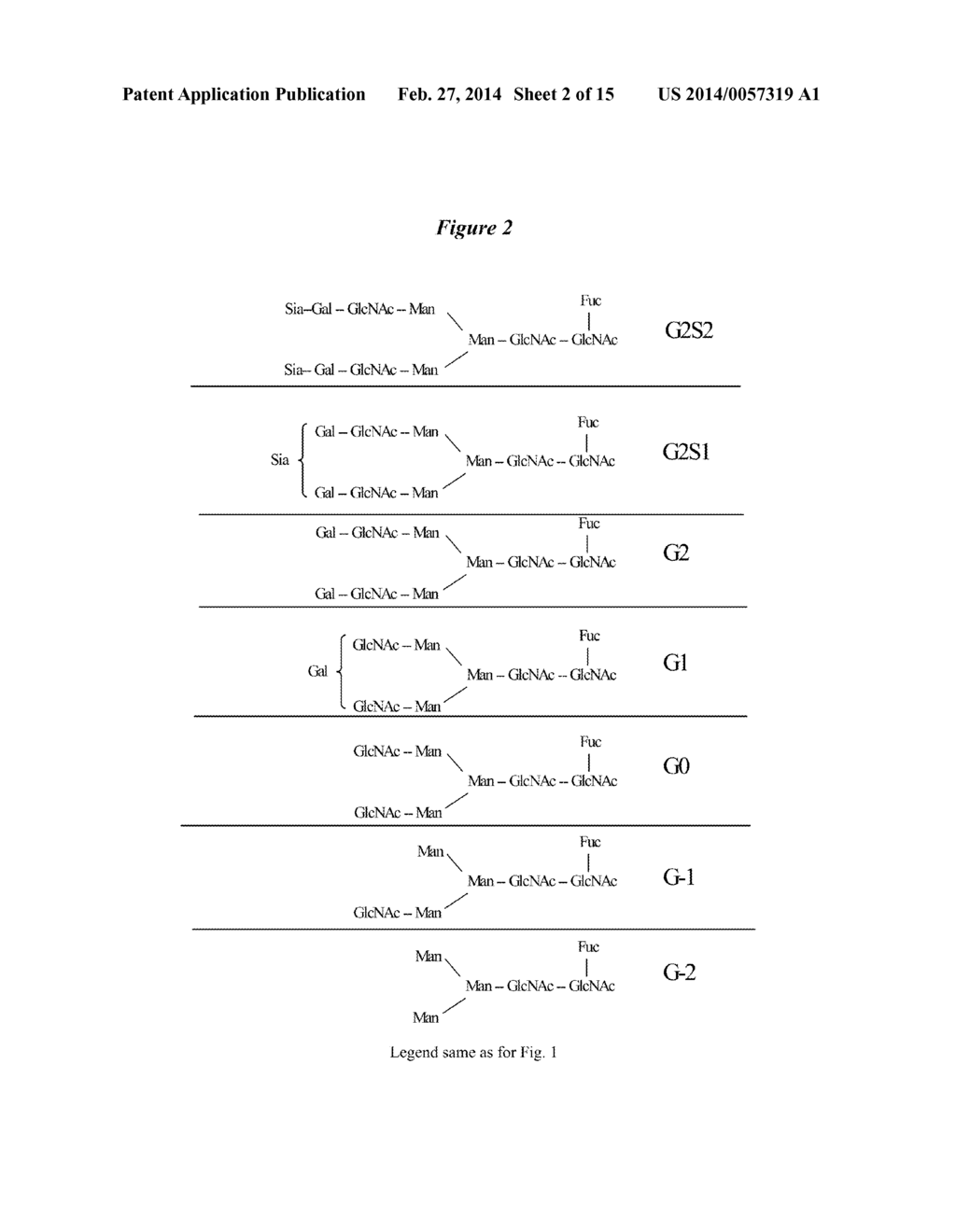 Methods and Vectors for Generating Asialylated Immunoglobulins - diagram, schematic, and image 03