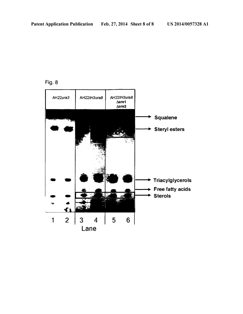 YEAST CELL FOR THE PRODUCTION OF TERPENES AND USES THEREOF - diagram, schematic, and image 09