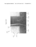 SYSTEMS AND METHODS FOR GENETIC AND BIOLOGICAL ANALYSIS diagram and image