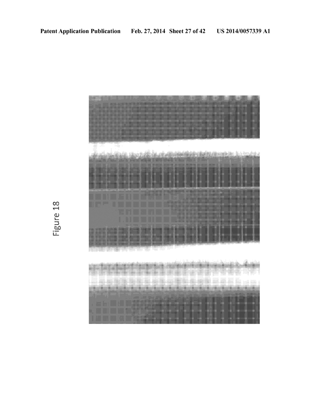 SYSTEMS AND METHODS FOR GENETIC AND BIOLOGICAL ANALYSIS - diagram, schematic, and image 28