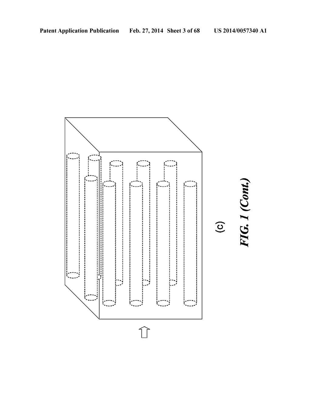 DEVICES FOR DETECTING OR FILTERING TUMOR CELLS - diagram, schematic, and image 04