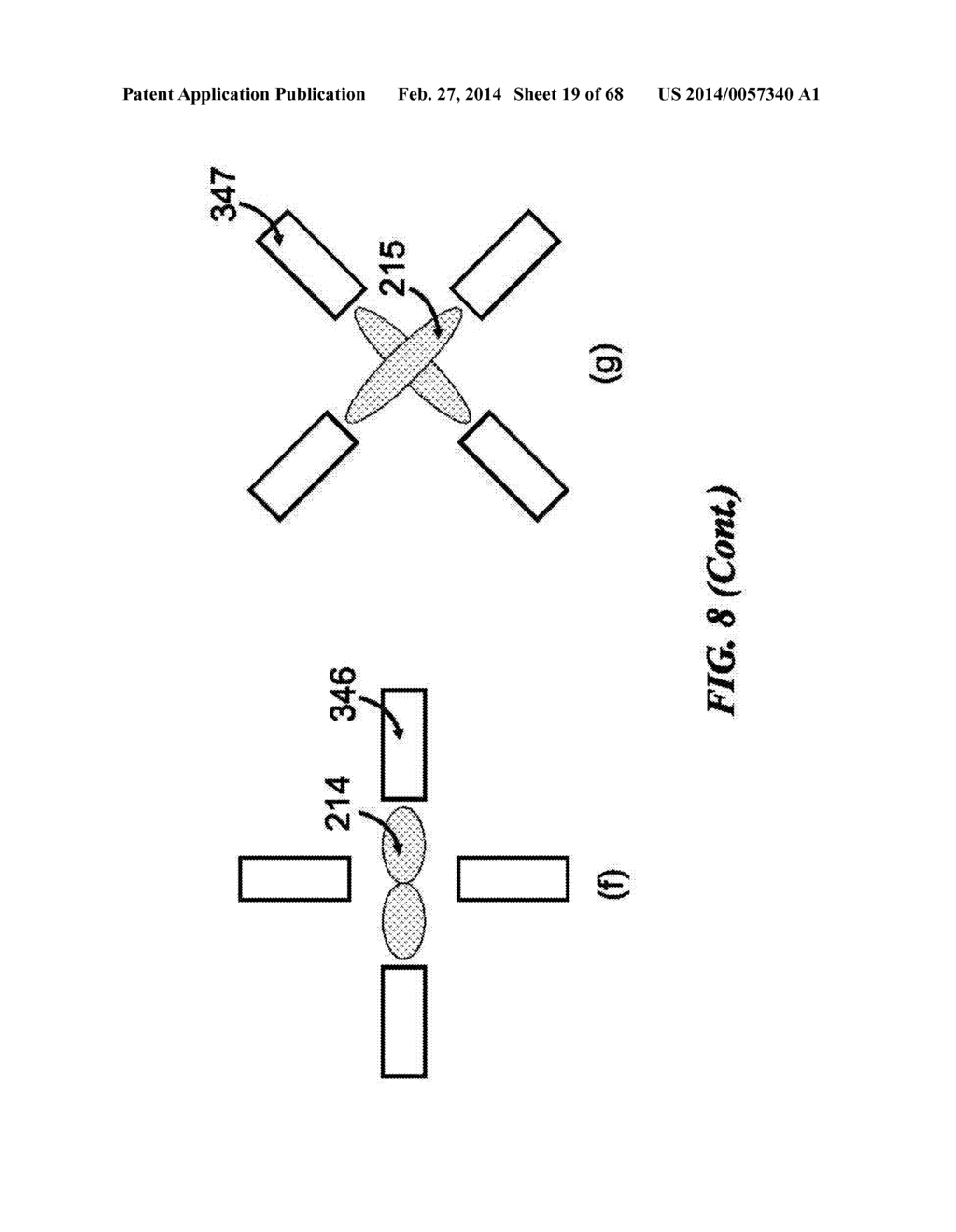 DEVICES FOR DETECTING OR FILTERING TUMOR CELLS - diagram, schematic, and image 20