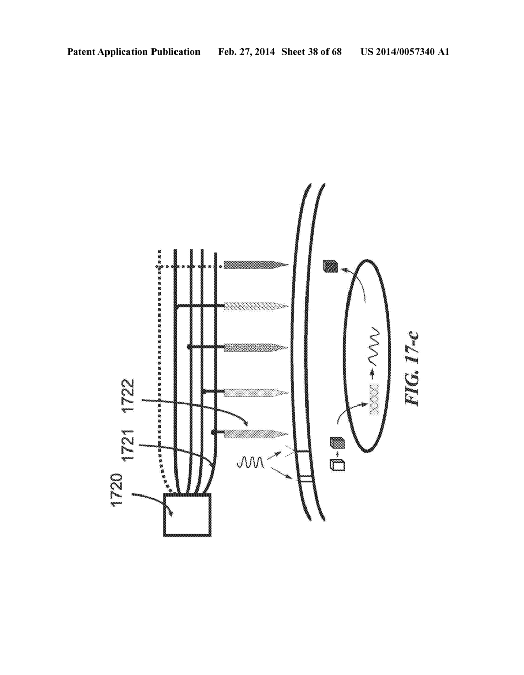 DEVICES FOR DETECTING OR FILTERING TUMOR CELLS - diagram, schematic, and image 39