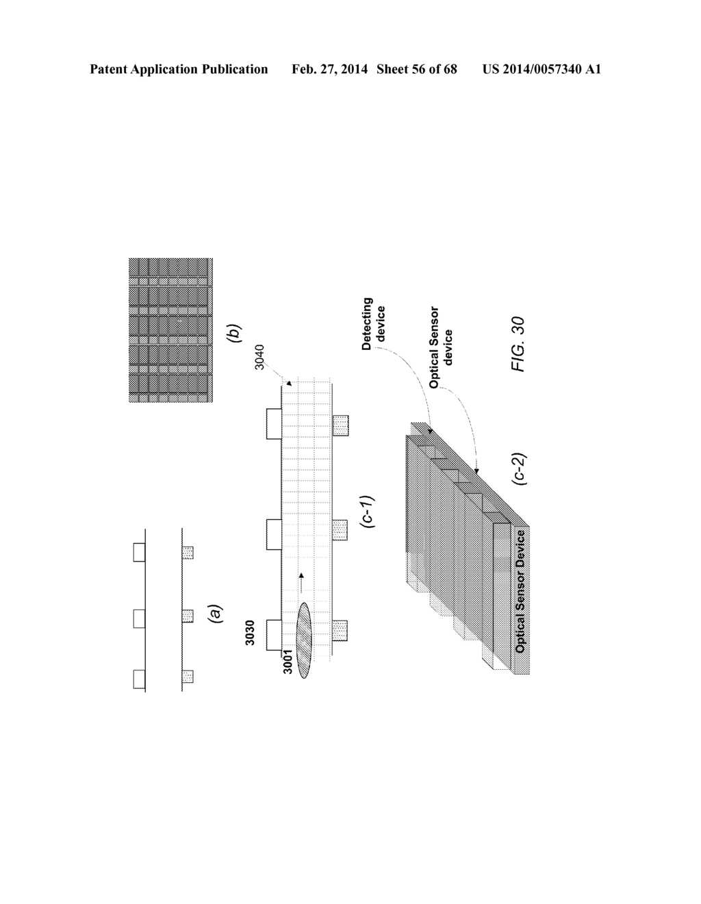 DEVICES FOR DETECTING OR FILTERING TUMOR CELLS - diagram, schematic, and image 57