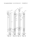 LIVE BIOLOAD DETECTION USING MICROPARTICLES diagram and image