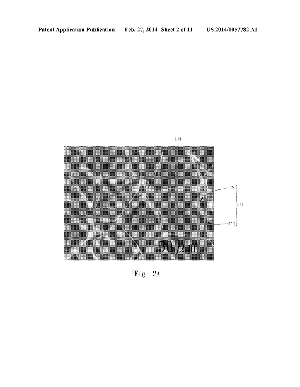 SUPERHYDROPHOBIC AND SUPEROLEOPHILIC COMPOSITE - diagram, schematic, and image 03