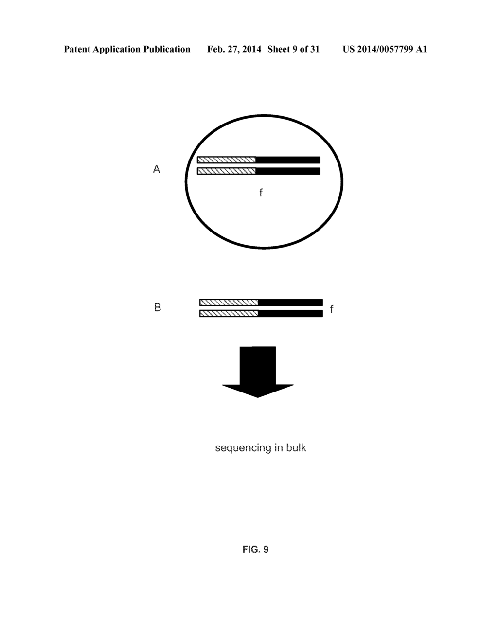 System and Methods for Massively Parallel Analysis of Nucleic Acids in     Single Cells - diagram, schematic, and image 10