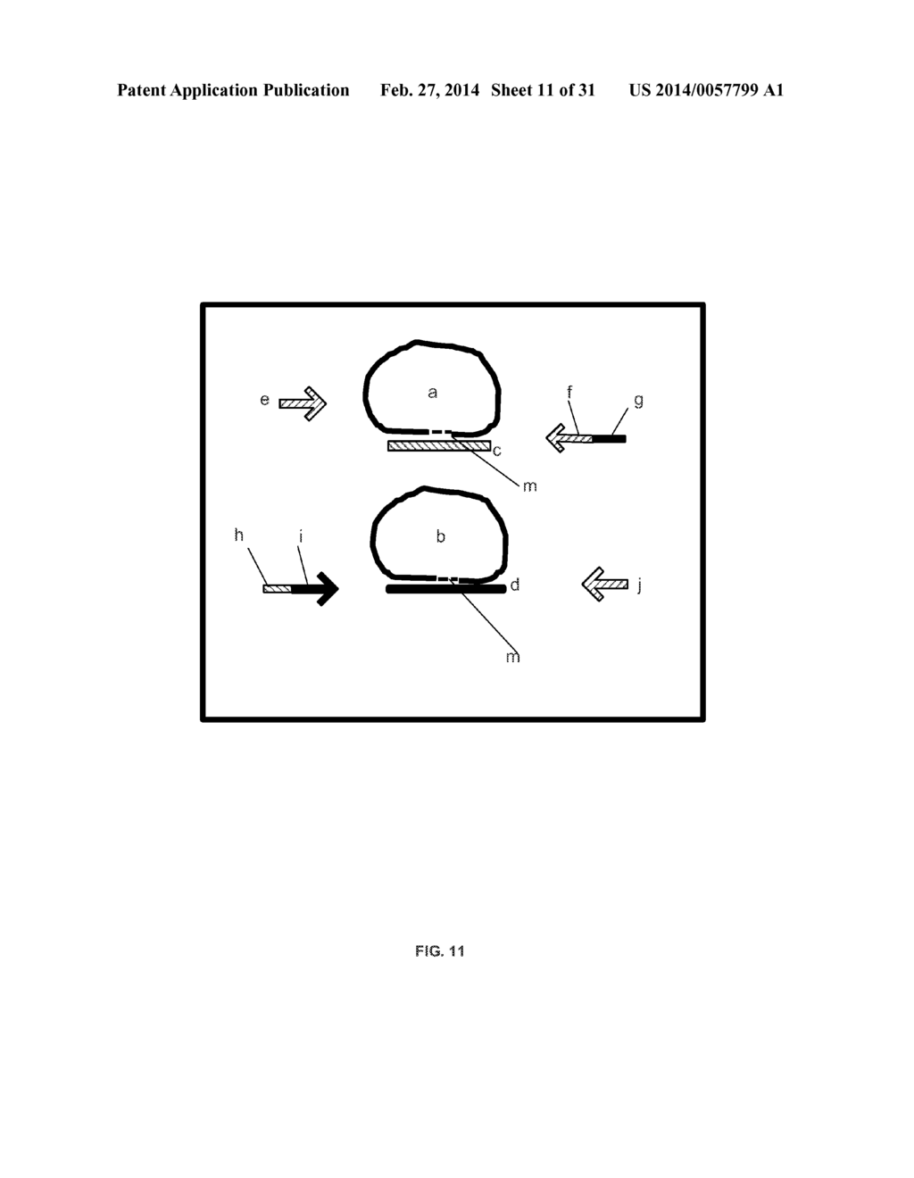 System and Methods for Massively Parallel Analysis of Nucleic Acids in     Single Cells - diagram, schematic, and image 12