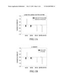 SINGLE NUCLEOTIDE POLYMORPHISM ASSOCIATED WITH RISK OF INSULIN RESISTANCE     DEVELOPMENT diagram and image