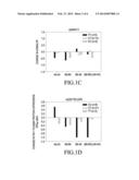 SINGLE NUCLEOTIDE POLYMORPHISM ASSOCIATED WITH RISK OF INSULIN RESISTANCE     DEVELOPMENT diagram and image