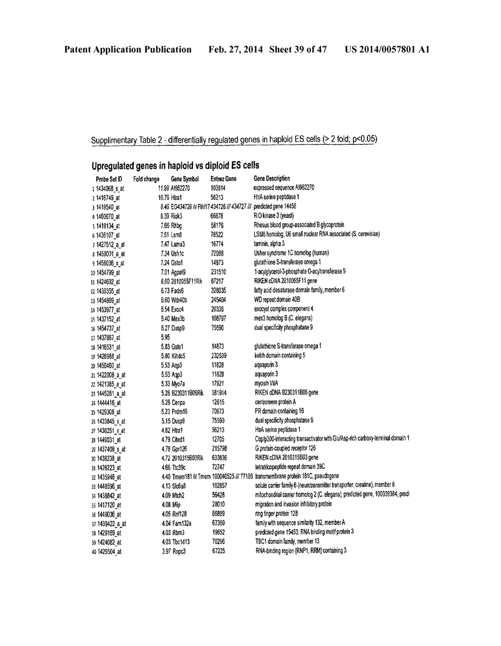 MAMMALIAN HAPLOID EMBRYONIC STEM CELLS - diagram, schematic, and image 40