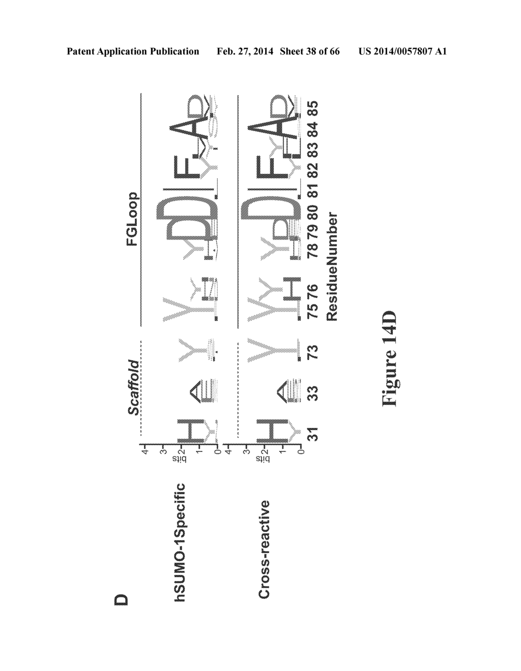 FIBRONECTIN CRADLE MOLECULES AND LIBRARIES THEREOF - diagram, schematic, and image 39