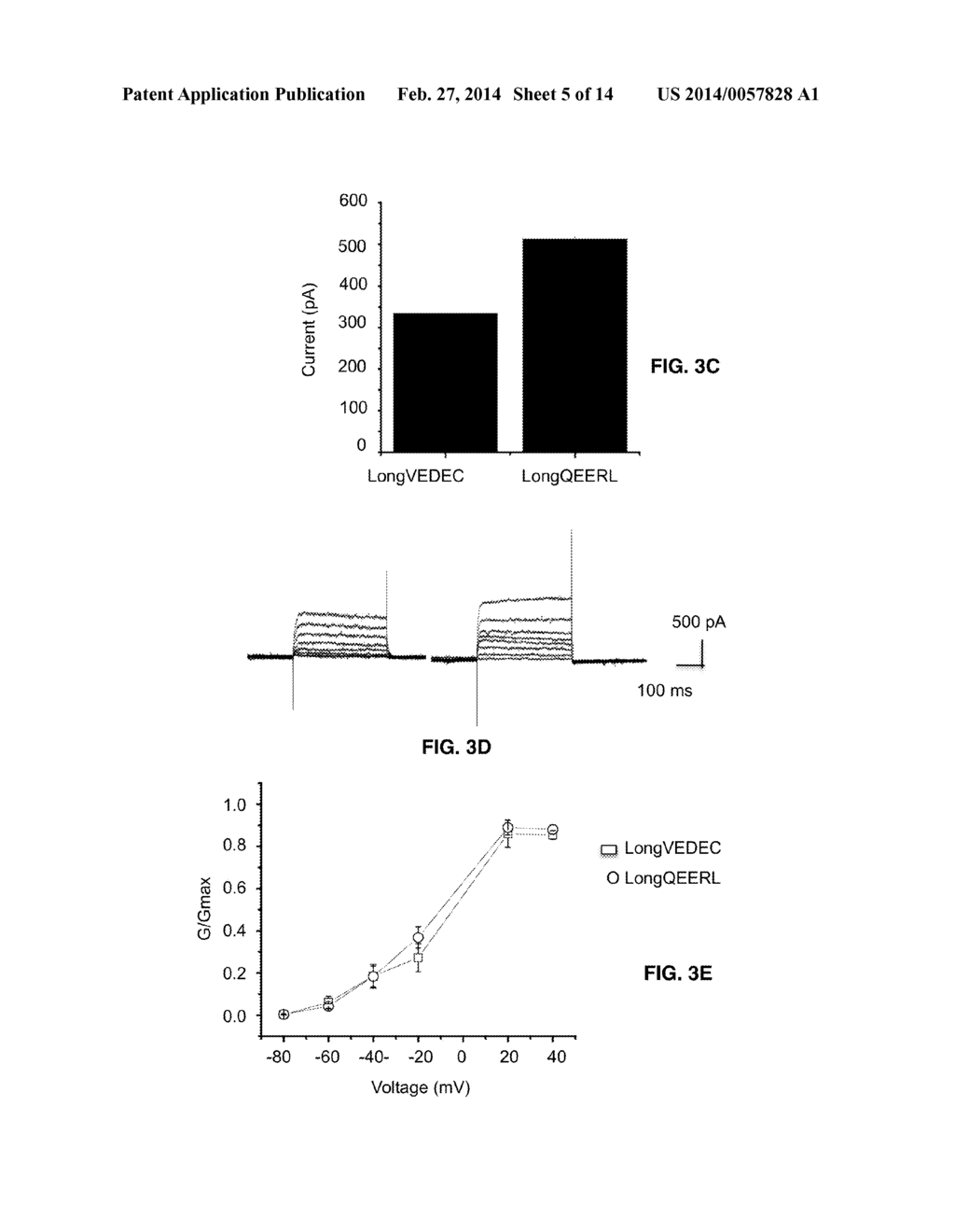 Small Peptide Modulators of Potassium Channel Trafficking - diagram, schematic, and image 06