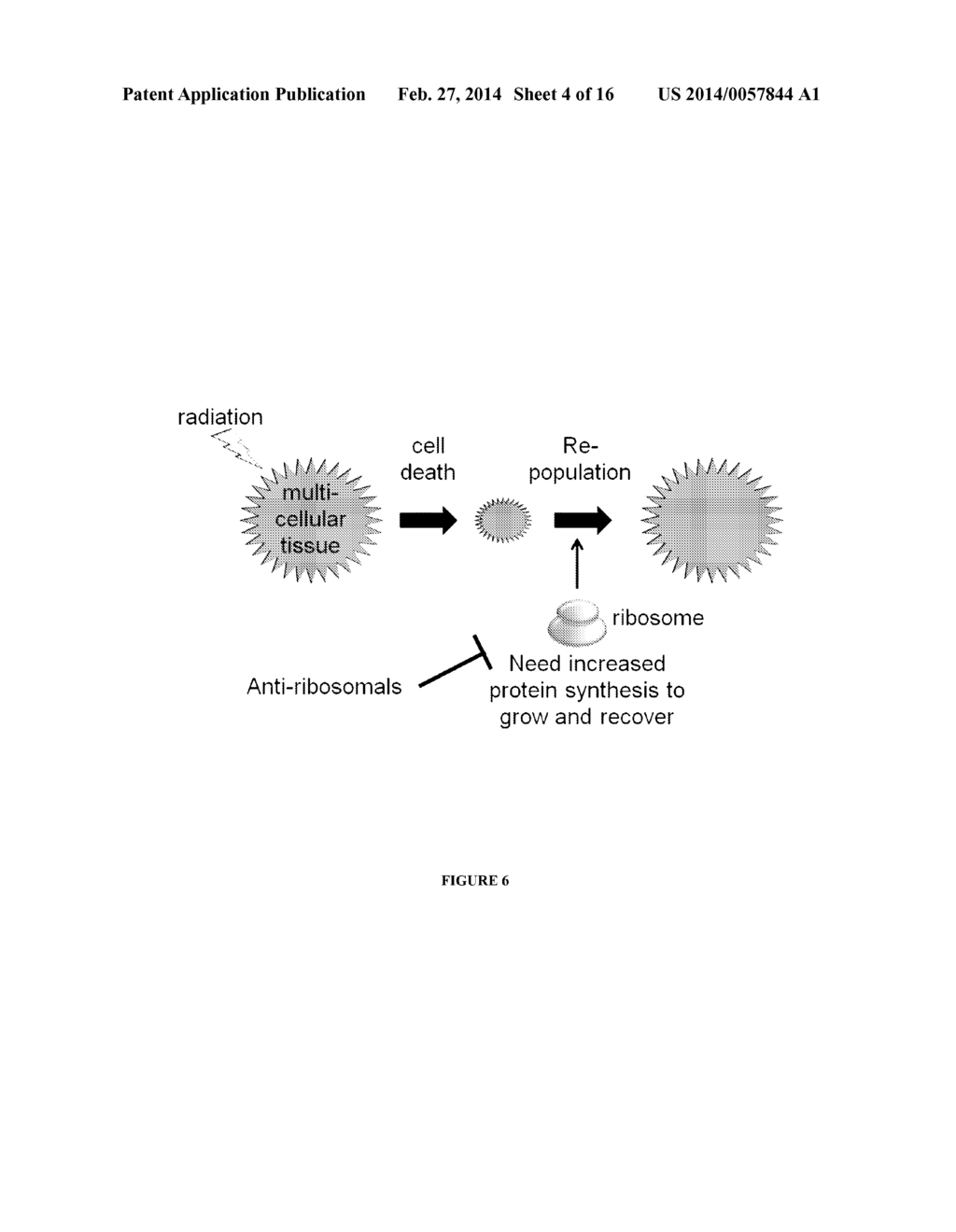 CHEMICAL ENTITIES AND THERAPEUTIC USES THEREOF - diagram, schematic, and image 05