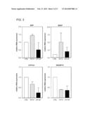 Bile Acid Derivatives as FXR Ligands for the Prevention or Treatment of     FXR-Mediated Diseases or Conditions diagram and image