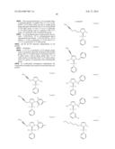 NOVEL PLATINUM-CARBENE COMPLEXES AND USE THEREOF AS MEDICAMENTS diagram and image