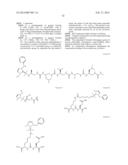 NOVEL PLATINUM-CARBENE COMPLEXES AND USE THEREOF AS MEDICAMENTS diagram and image