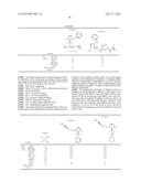 NOVEL PLATINUM-CARBENE COMPLEXES AND USE THEREOF AS MEDICAMENTS diagram and image