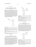 NOVEL PLATINUM-CARBENE COMPLEXES AND USE THEREOF AS MEDICAMENTS diagram and image