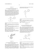 NOVEL PLATINUM-CARBENE COMPLEXES AND USE THEREOF AS MEDICAMENTS diagram and image