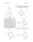 NOVEL PLATINUM-CARBENE COMPLEXES AND USE THEREOF AS MEDICAMENTS diagram and image