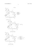 METHOD FOR PREPARING 42-(DIMETHYLPHOSPHINATE) RAPAMYCIN diagram and image