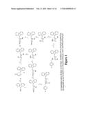 TRI-SUBSTITUTED 2-BENZHYDRYL-5-BENZYLAMINO-TETRAHYDRO-PYRAN-4-OL AND     6-BENZHYDRYL-4-BENZYLAMINO-TETRAHYDRO-PYRAN-3-OL ANALOGUES, AND NOVEL     3,6-DISUBSTITUTED PYRAN DERIVATIVES diagram and image